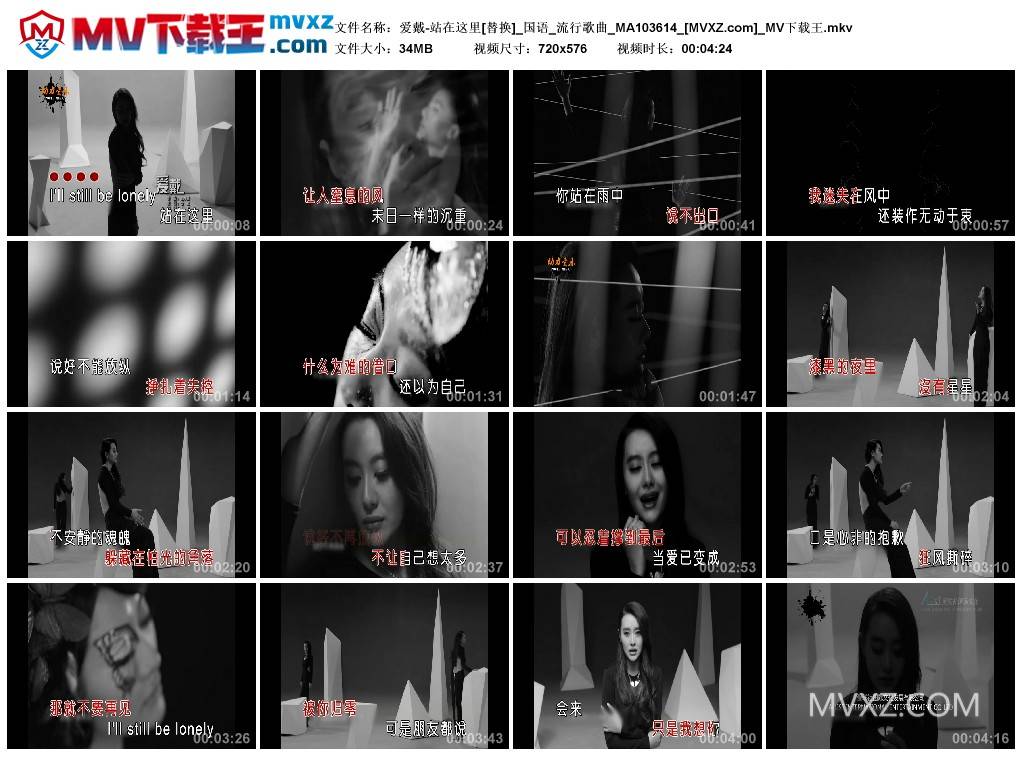 爱戴-站在这里[替换]_国语_流行歌曲_MA103614